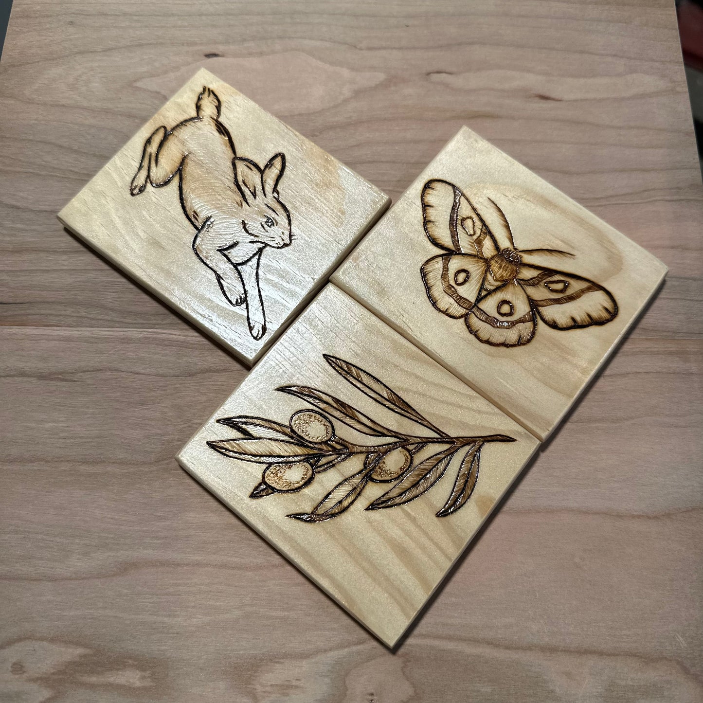 Botanical Trio Coaster Sets