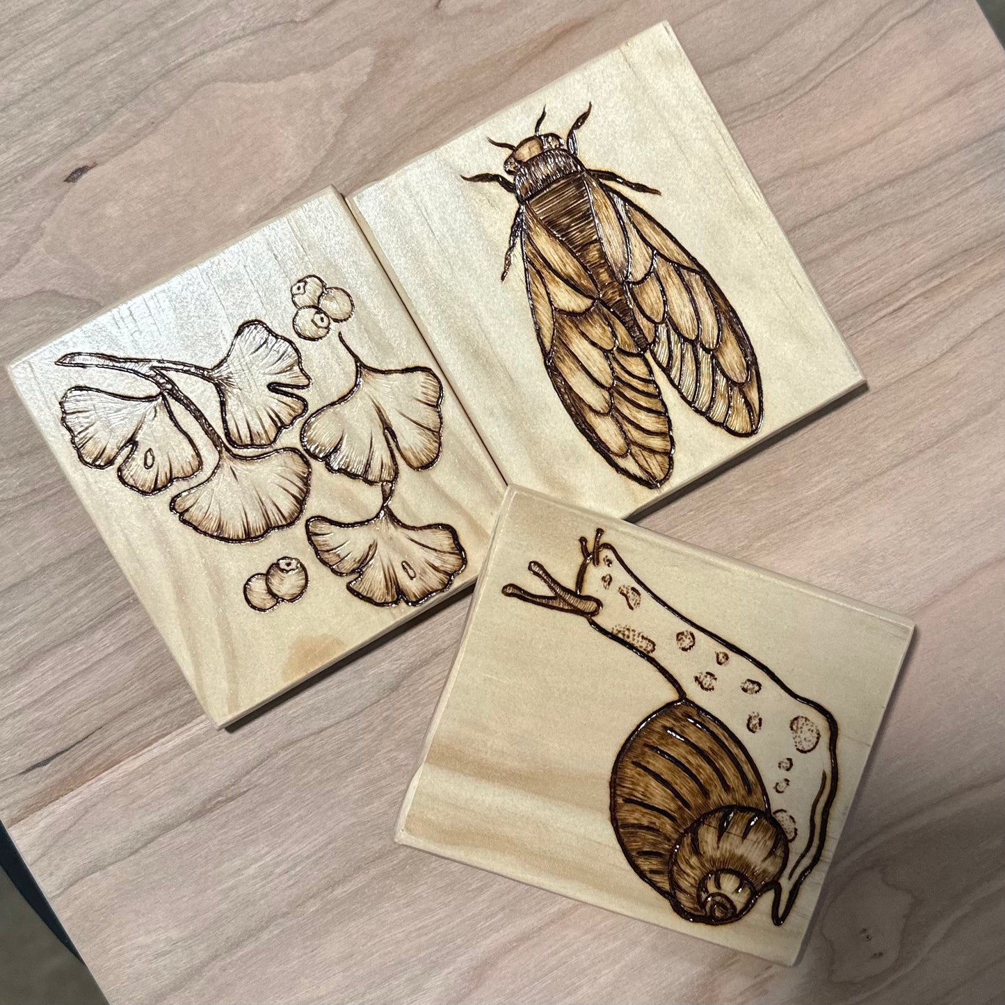 Botanical Trio Coaster Sets